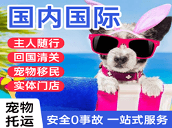梅县空运地址国际宠物托运 【国